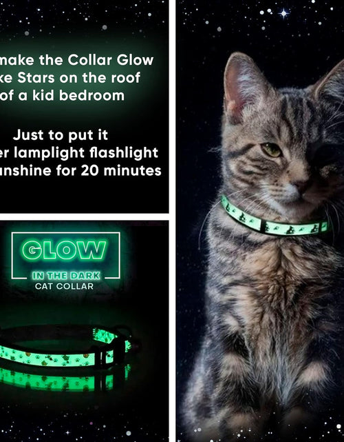Load image into Gallery viewer, Glow in the Dark Cat Collar with Safety Buckle and Removable Bell Cat Collar Kitten Collar Cat Collar
