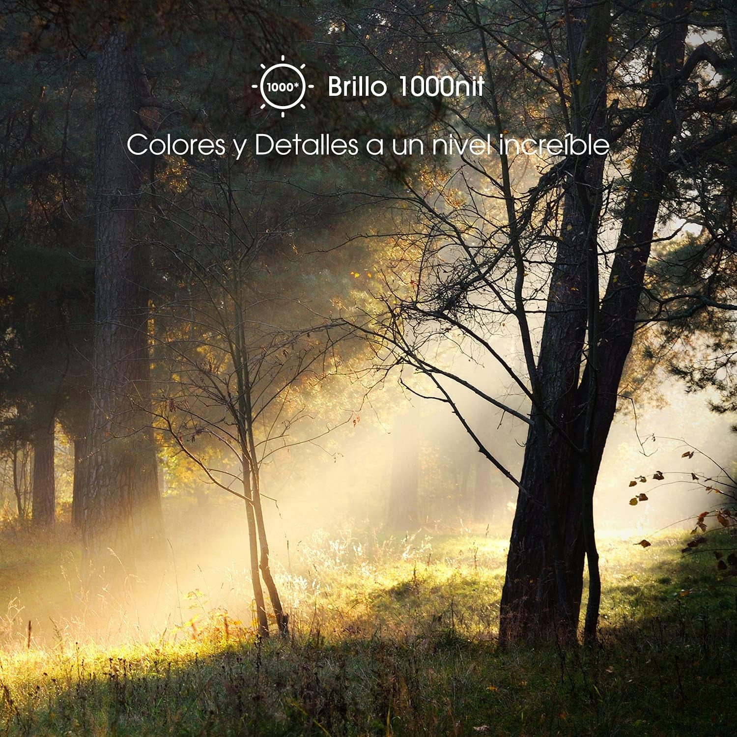 ULED Premium 65-Inch U7G Quantum Dot QLED Series Android 4K Smart TV with Alexa Compatibility (65U7G, 2021 Model)