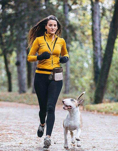 Load image into Gallery viewer, 4-In-1 Dog Training Set, Puppy Training Treats- Dog Treat Training Pouch, Dog Whistle, Dog Doorbells, Dog Clicker, Ideal Gift for First Time Pet Owners, Training Dog Owners (Black)
